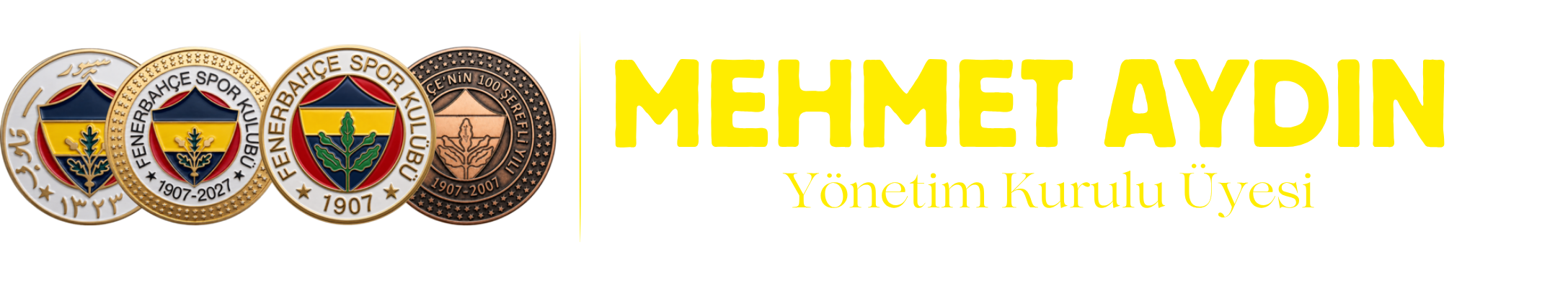 Mehmet Aydın — Fenerbahçe Yönetim Kurulu Asil Üye